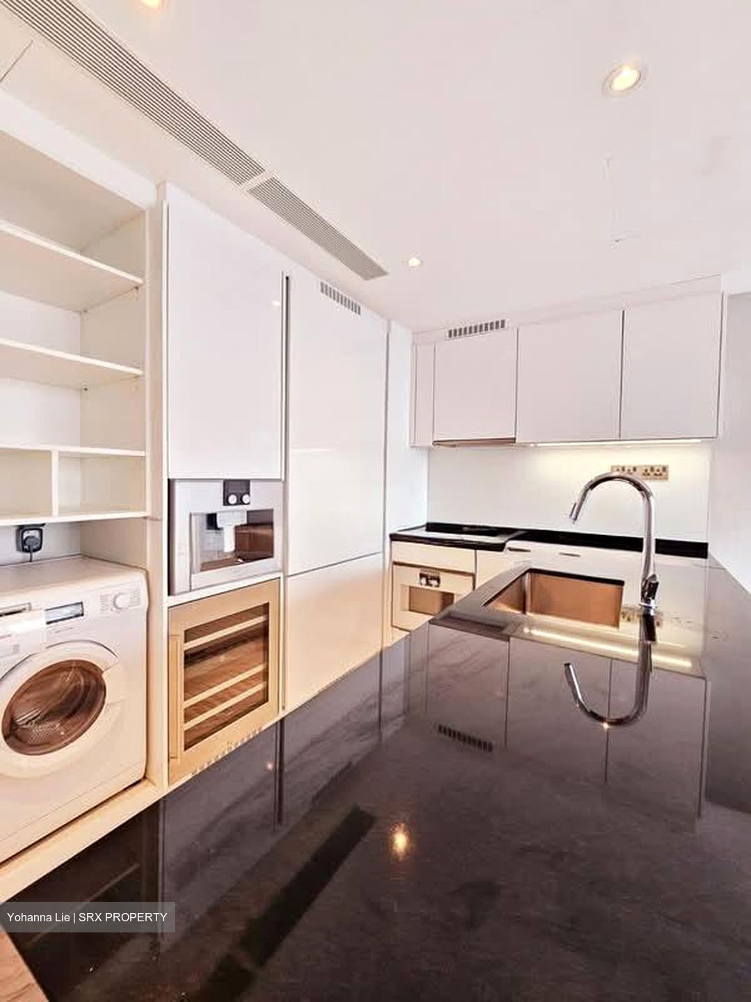 Wallich Residence  (D2), Condominium #540629311
